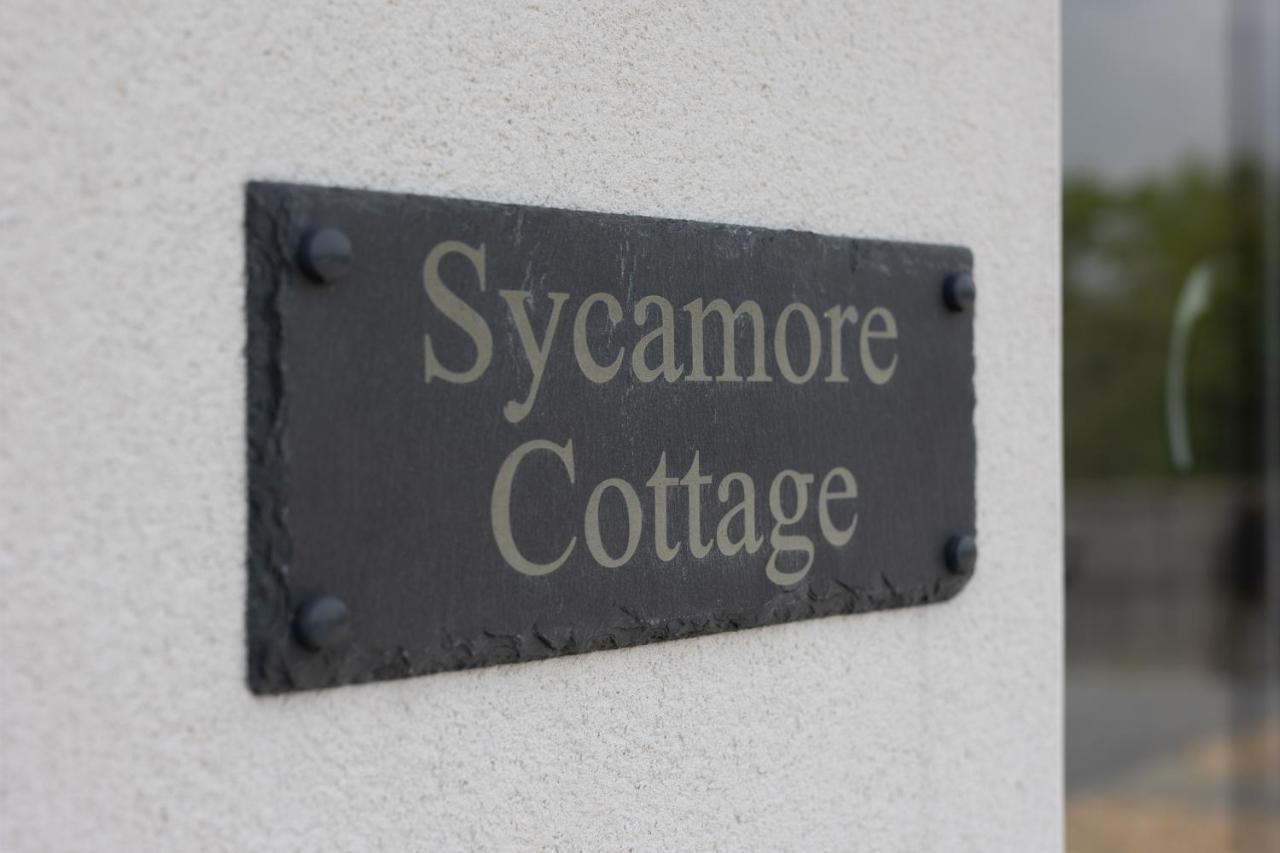 Sycamore Cottage Tenby Exterior photo